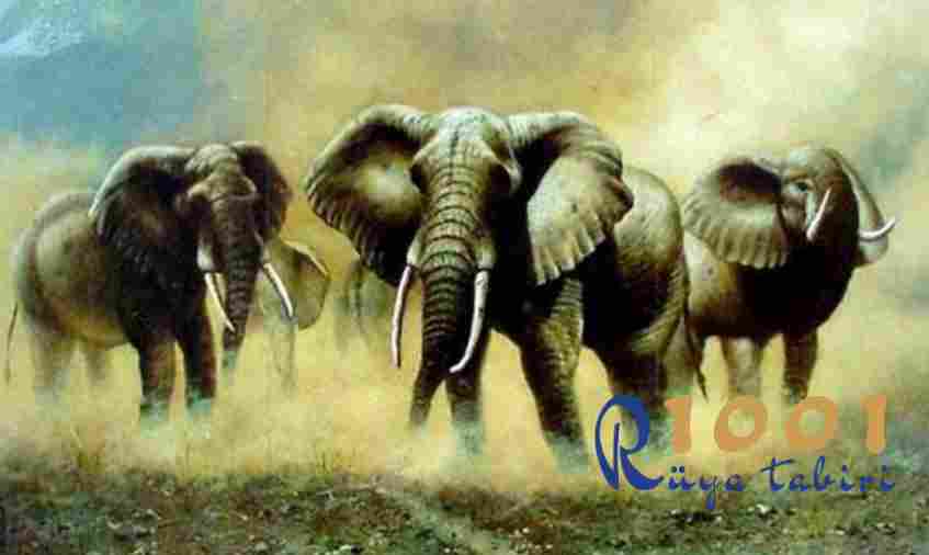 rüyada fil sürüsü görmek
