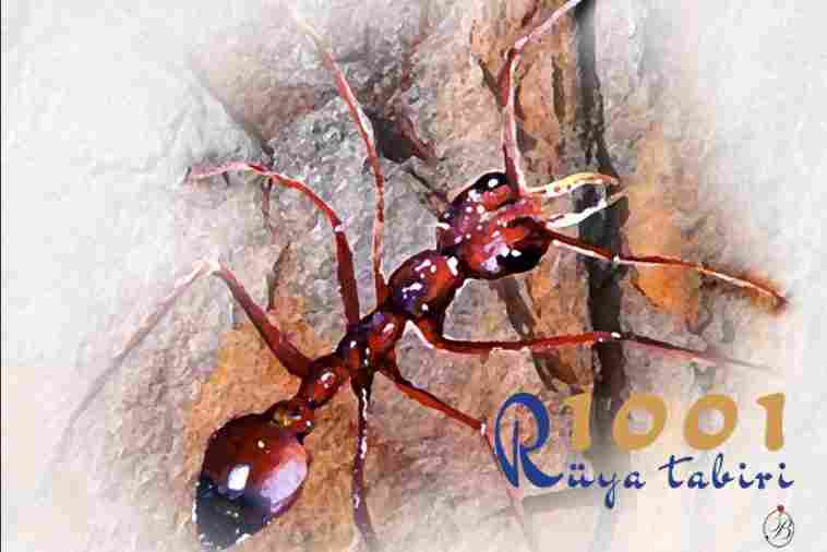 Rüyada Karınca Görmek - Diyanet Rüya Tabirleri - www.1001ruyatabiri.com