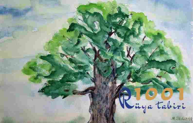 Rüyada Ağaç Görmek - Diyanet Rüya Tabirleri www.1001ruyatabiri.com