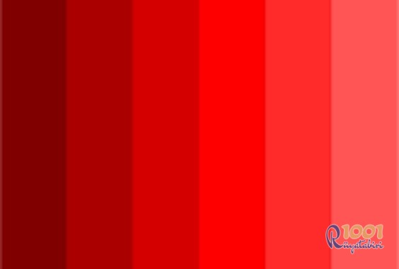 Rüyada Kırmızı Renk Görmek-Rüyada Kırmızı Giymek www.1001ruyatabiri.com
