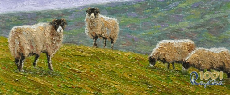 Rüyada koyun Görmek otlatmak-kesmek-Rüyada Koyun sürüsü Görmek