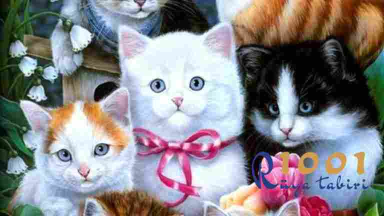 Rüyada Kedi Görmek, Yavru Kedi Sevmek, Siyah ve Beyaz Kedi