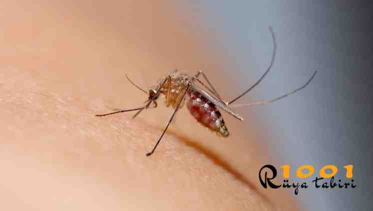 Rüyada Sivrisinek Görmek, Öldürmek, Sinek Isırması - 1001RuyaTabiri.com